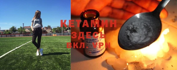 дживик Богородск