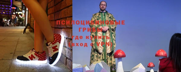 дживик Богородск