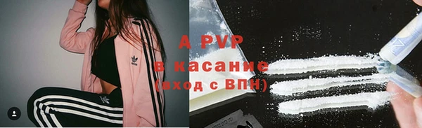 дживик Богородск