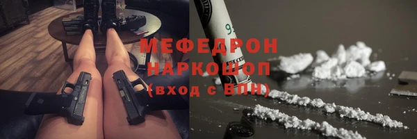 стаф Богданович