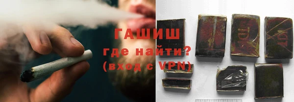 стаф Богданович