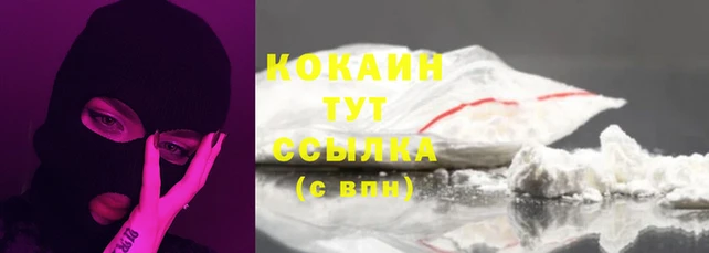 дживик Богородск