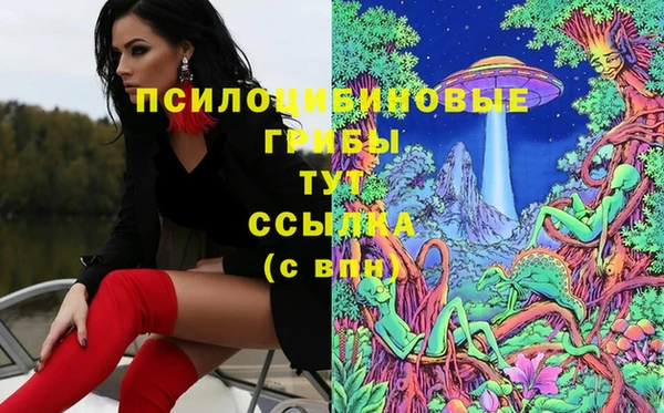 героин Богородицк