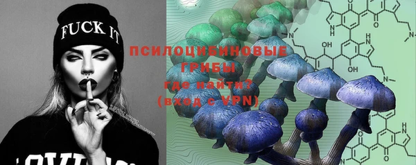 стаф Богданович
