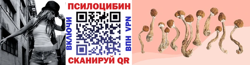 Купить закладки  Макаров  Псилоцибиновые грибы Cubensis 