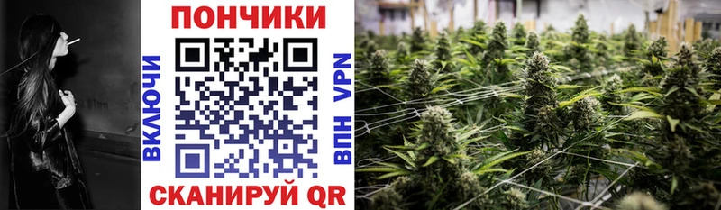 Бошки Шишки OG Kush  Купить закладки  Макаров 